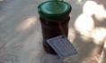 dulceata de capsuni